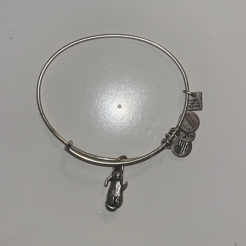 Silver Alex and Ani Bracelet